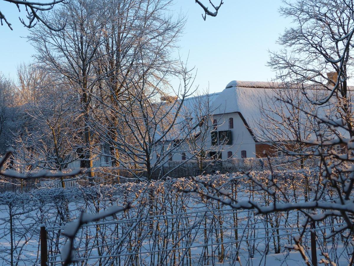 Hesselhogaard Bed & Breakfast Grindsted Exterior photo